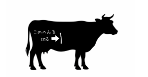 ＃141【お肉の解説4】「カルビ」ってどこの肉？